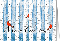 Merry Christmas Winter Scene with Cardinals and Birch Trees card