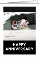 Funny Happy Wedding Anniversary with Corgi Dog Bride and Groom card
