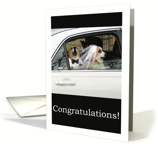 Funny Congratulations on Wedding with Corgi Dog Couple card (510954)