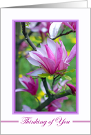 Thinking of You for Parents with Magnolias In Bloom card