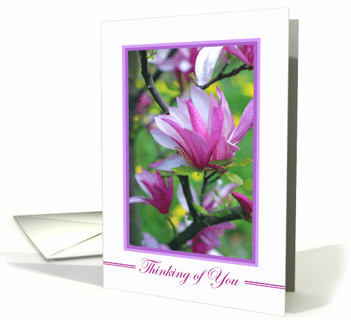 Thinking of You Bereaved Sympathy with Magnolias In Bloom card