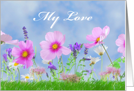 Wife Birthday with Flowers in Meadow with Grass and My Love card