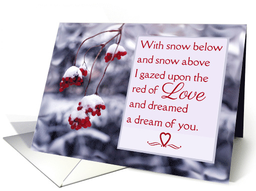 Valentine For Wife Winter Dream with Poem and Red Berries card
