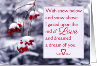 Valentine For Wife Winter Dream with Poem and Red Berries card