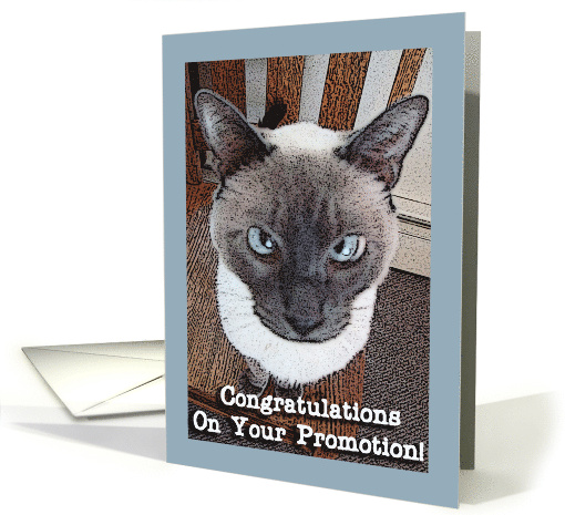Congratulations On Your Promotion with Funny Siamese Cat on Chair card