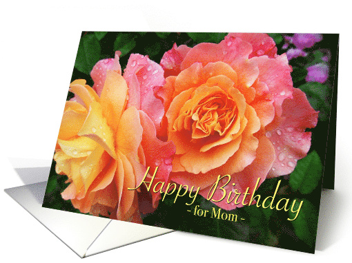 Mom Birthday from Son with Variegated Peach and Pink Roses card