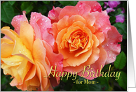 Mom Birthday from Son with Variegated Peach and Pink Roses card