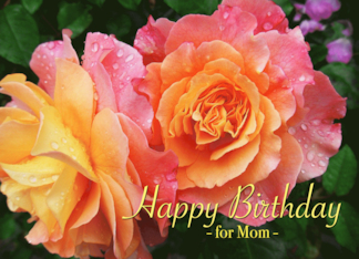 Mom Birthday from...