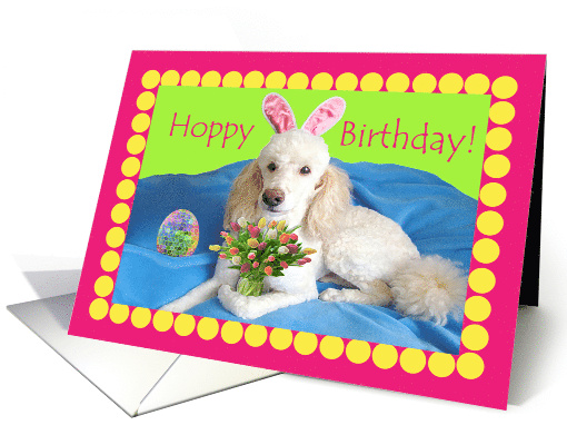 Hoppy Easter Birthday Poodle Wearing Bunny Ears and... (590160)