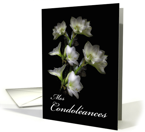 Mes Condolances With Sympathy In French card (594443)