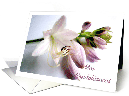 Mes Condolances Sympathy In French with Hosta Blooms card (594461)