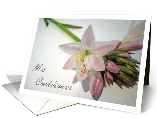 Mes Condolances Sympathy In French with Hosta Blooms card (595124)