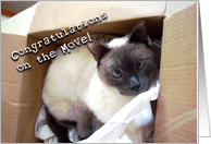 Congratulations on Move into New Home with Siamese Cat In Box card