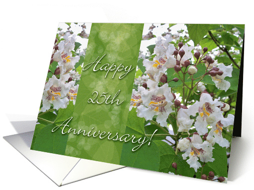 25th Wedding Anniversary with Catalpa Tree Orchid Flowers card