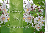 50th Wedding Anniversary with Catalpa Tree Blooms card