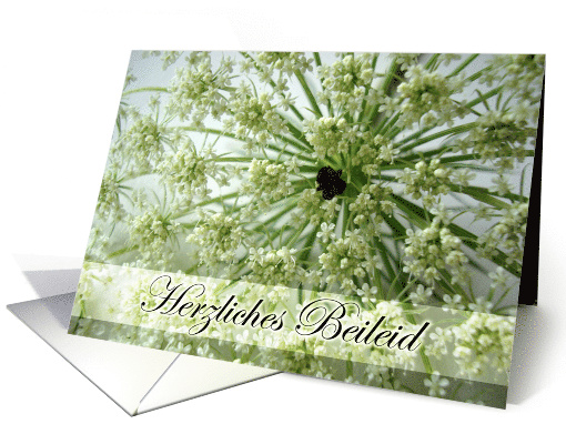 German Heartfelt Sympathy with Queen Anne's Lace card (653836)