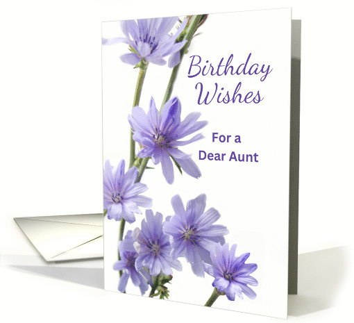 For Aunt Birthday with Violet Colored Chicory Flowers card (654151)