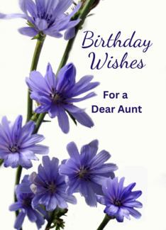 For Aunt Birthday...