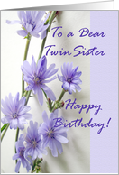 Birthday for Twin Sister with Violet Colored Chicory Flowers card