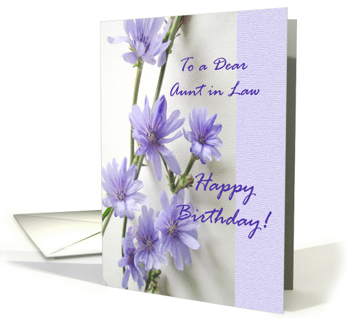 Aunt in Law Birthday with Violet and Lavender Chicory Flowers card