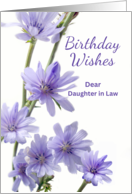 For Daughter in Law Birthday with Violet and Lavender Chicory Flowers card