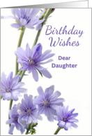 For Daughter Birthday with Wild Chicory Flowers in Violet Colors card