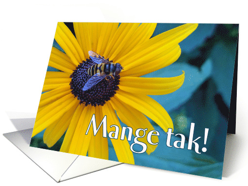 Mange tak Many thanks in Danish Bee on Black Eyed Susan card (656334)