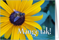 Mange tak Many thanks in Danish Bee on Black Eyed Susan card
