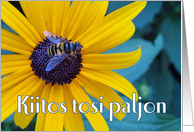 Kiitos tosi paljon Thanks in Finnish with Bee on Black Eyed Susan card