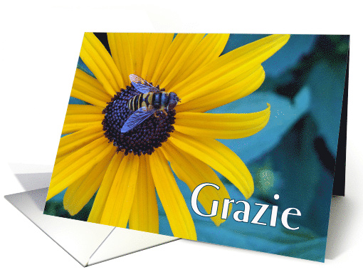 Grazie Thanks in Italian with Bee on Black Eyed Susan card (656343)