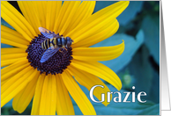 Grazie Thanks in Italian with Bee on Black Eyed Susan card