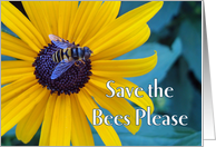Save the Bees Please with Bee on Black Eyed Susan card