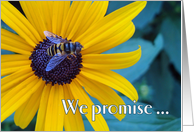 Welcome for New Customer or Client with Bee on Black Eyed Susan card