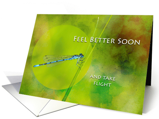 Feel Better Soon with Damselfly on Blade of Grass card (660918)