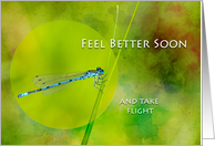 Feel Better Soon with Damselfly on Blade of Grass card