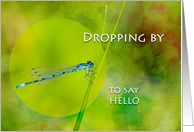 Dropping By to Say Hello with Damselfly on Grass card