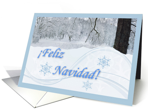 Spanish Christmas Landscape with Snowfall and Woods card (685780)