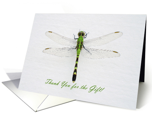 Green Dragonfly Thank You for the Gift card (697124)
