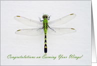 Green Dragonfly Congratulations on Earning Your Wings card