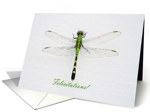 Congratulations in French with Green Dragonfly Photo card (699157)