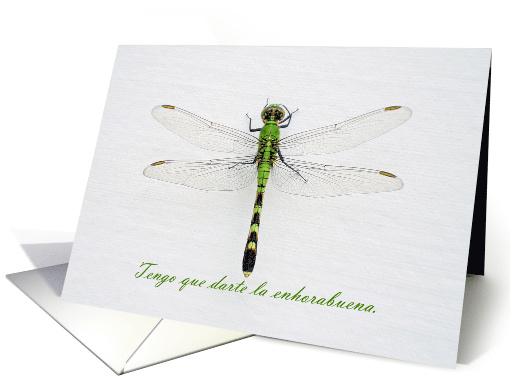 Green Dragonfly Congratulations in Spanish Enhorabuena card (699172)