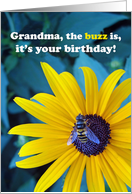 Grandma Birthday with Honey Bee on Brown Eyed Susan card