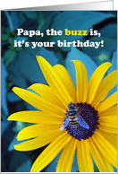 Papa Birthday with Honey Bee on Yellow Flower in Garden card