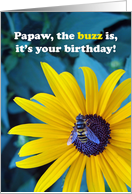 Papaw Birthday with Honey Bee on a Black Eyed Susan card