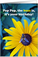Pop Pop Birthday with Bee on Brown Eyed Susan Flower card