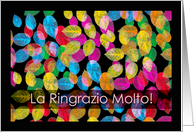Ringrazio Molto Thank You Very Much in Italian with Colorful Leaves card