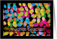 Muchas Gracias Thank You in Spanish with Leaves card