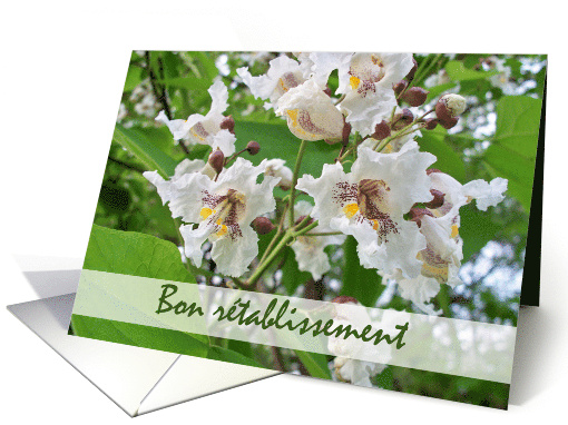 Bon retablissement French Get Well with Catalpa Blooms card (712100)