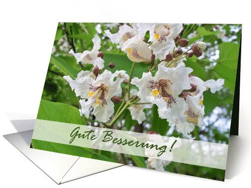 Gute Besserung German Get Well with Catalpa Tree Blooms card (712103)