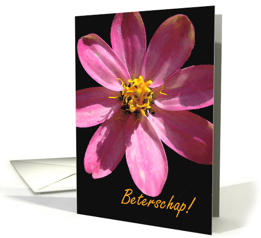 Beterschap Get Well in Dutch with Pink Flower card (713607)